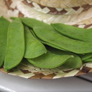 Zuckererbse Frühe Heinrich