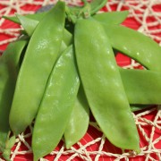 Zuckererbse Schweizer Riesen (Samen)